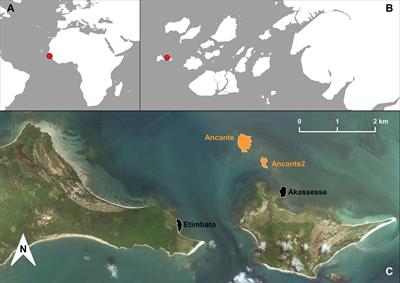 Fine-scale foraging segregation in a green turtle (Chelonia mydas) feeding ground in the Bijagós archipelago, Guinea Bissau